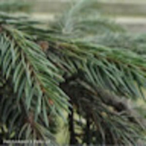 Meet your Posher, Marta